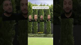 Life Next to a Boring Tree