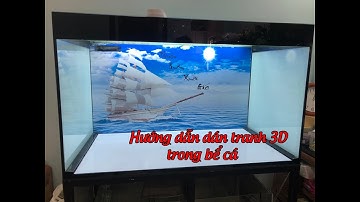 Clip hướng dẫn tranh 3D dán trong bể cá cảnh chi tiết - Trung 3D
