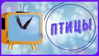 Учим ПТИЦ с детьми. Тест - Игра \