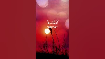 وَيْلٌ لِّكُلِّ أَفَّاكٍ أَثِيمٍ (7)...#سورة_الجاثية #القرآن_الكريم #ياسر_الدوسري #القرآن_حياتنا