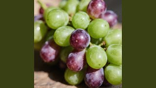 Malam Mencapai Kenangan