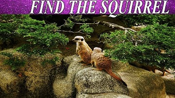 Can You Find The Hidden Objects | 99% Fail | New Game | Brain Teaser | Mind Booster