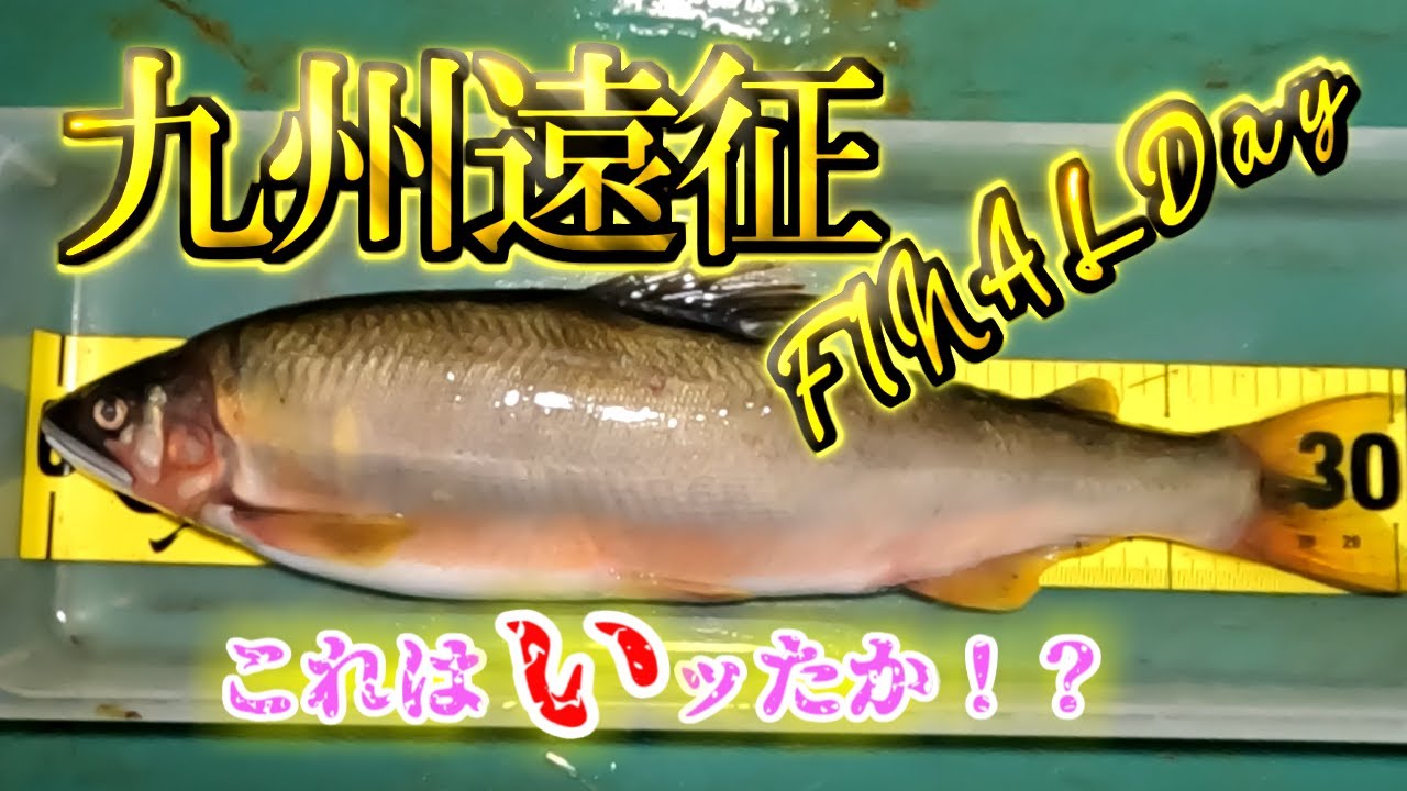 九州遠征ファイナル day！！尺鮎イッたか！？