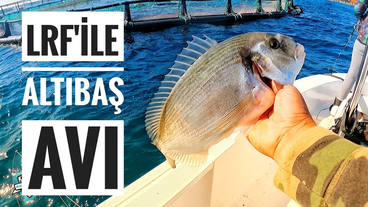 LRF KAMIŞIYLA ÇUPRA AVI VE VURUŞ ANLARI~BU TAKIM FENA İŞ YAPIYOR~Firtinaya yakalandik #ÇUPRA