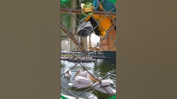 𝐄𝐱𝐩𝐥𝐨𝐫𝐞 𝐭𝐡𝐞 𝐖𝐨𝐧𝐝𝐞𝐫𝐬 𝐨𝐟 𝐖𝐢𝐥𝐝𝐥𝐢𝐟𝐞 𝐚𝐭 𝟑𝟔𝟎 𝐙𝐨𝐨