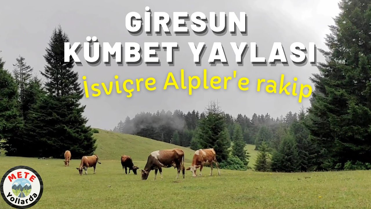 İddia Ediyorum. 📢 Türkiye'nin En Güzel Yaylası. 🏡🌲 Giresun Kümbet Yaylası. İsviçre Alpler'e Rakip.