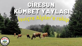 We toured Giresun Kümbet Plateau. Swiss Alps rival. How to go? Turkey's most beautiful plateau.