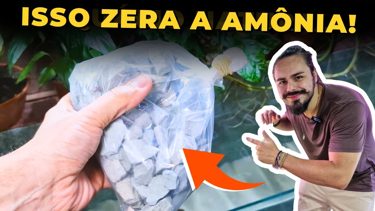 🔴APRENDA A ZERAR AMÔNIA DO AQUÁRIO. |Mr. Betta|