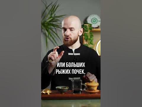 Чайная мудрость 📜 #чай #философия #пуэр #китайскийчай #мудрость # ...