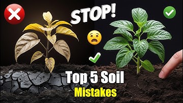 Top 5 Soil Preparation Mistakes That Are Killing Your Plants