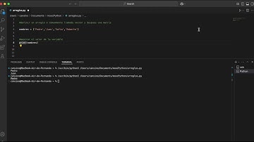 4.2.1 Declaración de Vectores y Matrices en python