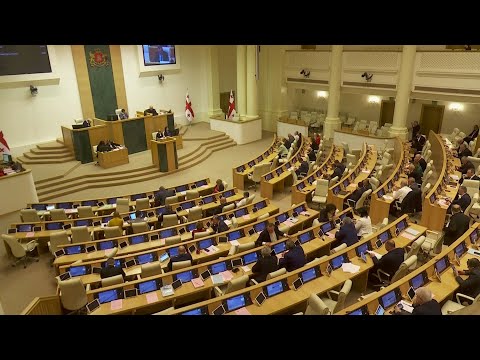 ოპოზიციის კონსოლიდაცია და მომავლის გეგმები