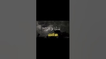القرآن الكريم | راحة نفسية #قرآن #quran #تلاوة_خاشعة #القرآن_الكريم #راحة_نفسية