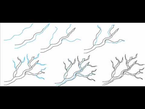 How To Draw A Tree Branches Simple Step By Step Drawing Tutorial - YouTube