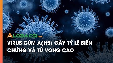 Virus cúm A(H5) gây tỷ lệ biến chứng và tử vong cao
