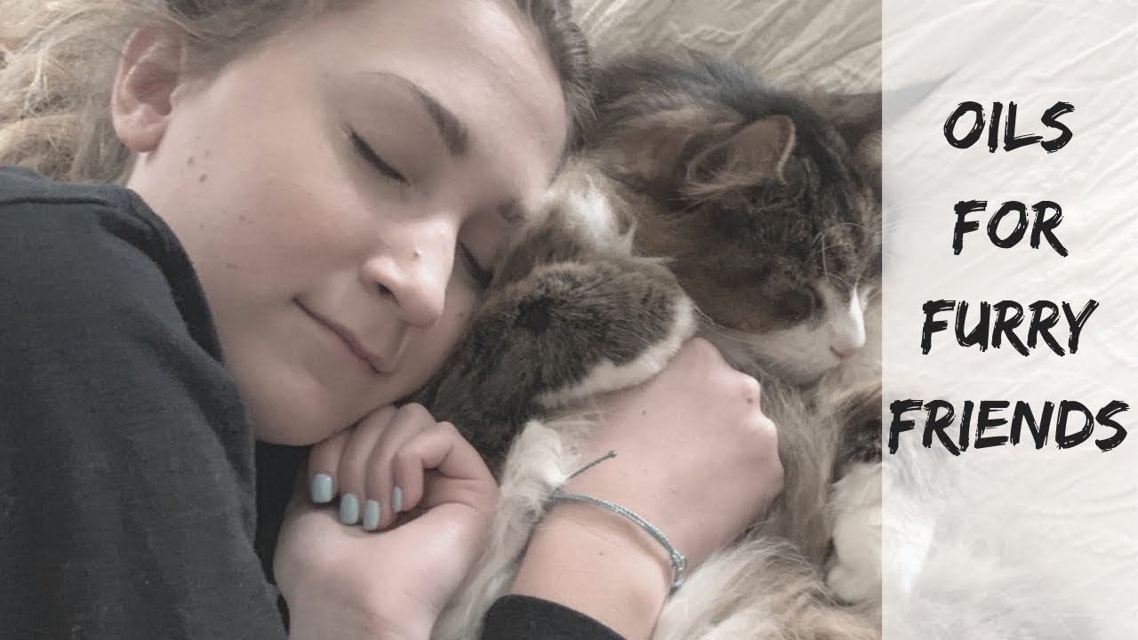 Oils for Furry Friends