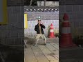종로3가 탑골공원 이상한 할배 ㅋㅋ