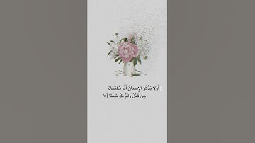 تلاوة هادئة للقارئ عبدالرحمن مسعد 💖 حالات واتساب ..💖