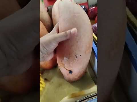 Pink Mango Shortviral 