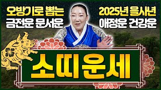오방기로 뽑는 2025년 을사년 소띠운세 이동수 폭발! 두번다시 없을 조상덕으로 인생 탈바꿈하는 기회 머지않…