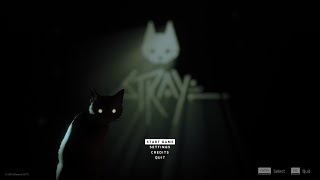 Make a little Meow Meow  (Stray: Part 1)