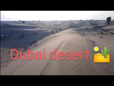 Dubai desert adventure