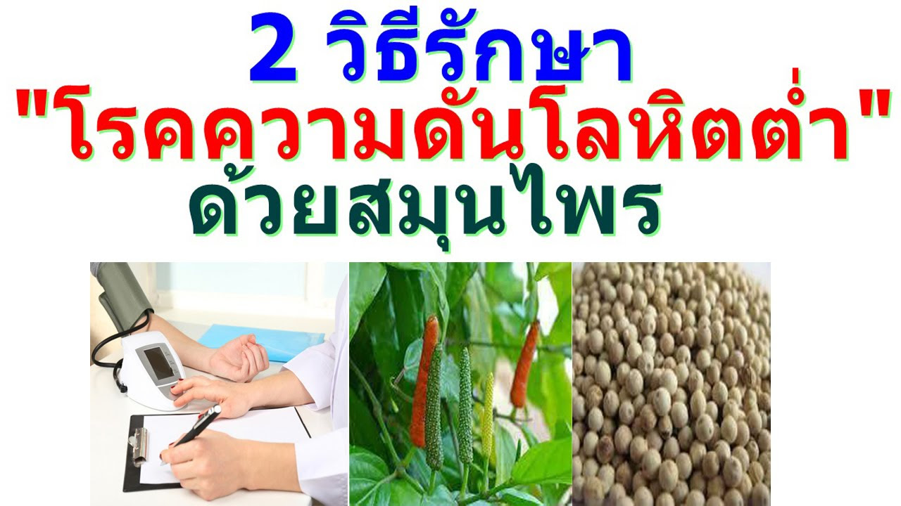 สมุนไพร รักษา ความ ดัน ต่ำ  Update New  2 วิธีรักษาโรคความดันโลหิตต่ำ(Hypotension )ด้วยสมุนไพร(Herbal)