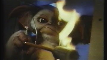 映画「グレムリン2 新・種・誕・生」 (1990) 日本版劇場公開予告編② Gremlins 2: The New Batch Japanese Theatrical Trailer