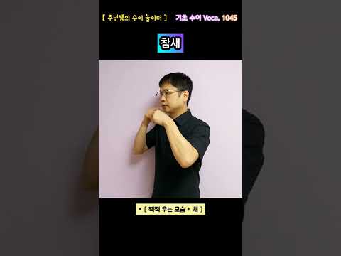 [ 기초 수어 Voca ] 1045. 참새 - 수화배우기 [주넌쌤의 수어놀이터]