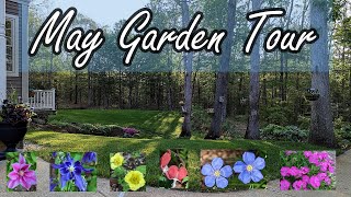 Spring Garden Tour🌻Zone 5b New Hampshire May