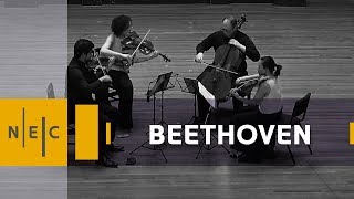 Ludwig van Beethoven: String Quartet No. 16 in F Major, op. 135 – Verona Quartet