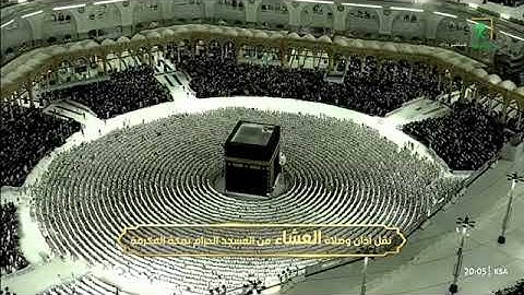 تلاوة ندية استفتح بها الشيخ #بدر_التركي سورة الأحقاف 1-11 عشاء الإثنين 23 ربيع الأول 1447هـ