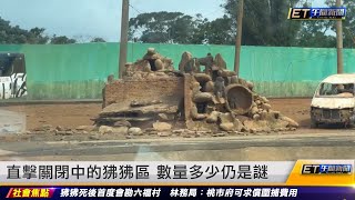 直擊關閉中的狒狒區 數量多少仍是謎 |20230331 ET午間新聞