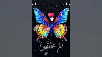 {أَمۡ خُلِقُواْ مِنۡ غَيۡرِ شَيۡءٍ أَمۡ هُمُ ٱلۡخَٰلِقُونَ}الاية ٣٥ من سورة الطور