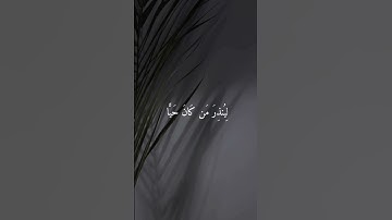 #القارئ_ماهر_المعيقلي #قران_كريم #اكسبلور #اللهم_صل_وسلم_على_نبينا_محمد