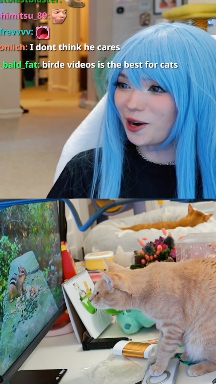Emiru Turns On The TV For Her Cat 😭 - YouTube