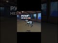 Эдит прекрасному мальчику #роблокс #конник #лошадь #эдит #гуд #бой