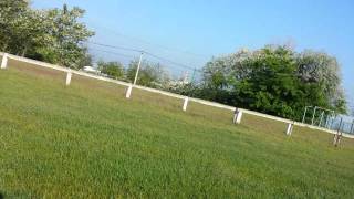 20140506 074619 20140506 074619