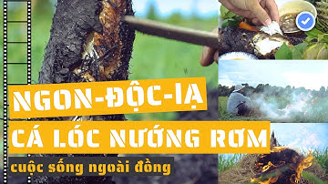 Bao lâu rồi bạn chưa ăn món này? Cá lóc nướng rơm