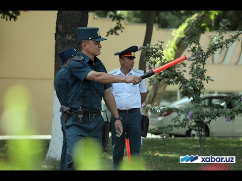 Video: Bugun romashka qancha turadi?