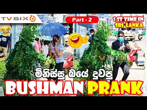 Running like Crazy | Bushman Prank in Sri Lanka | Bushman part 2 | November 2021