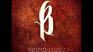 Video thumbnail of "Breakdown Of Sanity - Chapters [New Song] (2011)"