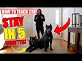 Easily Teach Your Dog To STAY In 5 minutes!