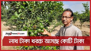 চিকিৎসকের পরামর্শে মাল্টাচাষ, লাখ টাকা খরচে আসছে কোটি টাকা || Jago News screenshot 5