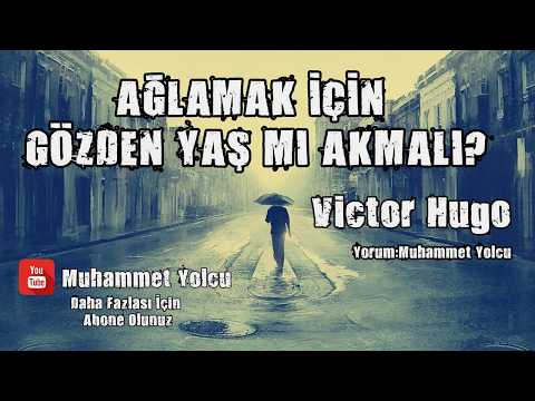 Ağlamak için gözden yaş mı akmalı - Victor Hugo