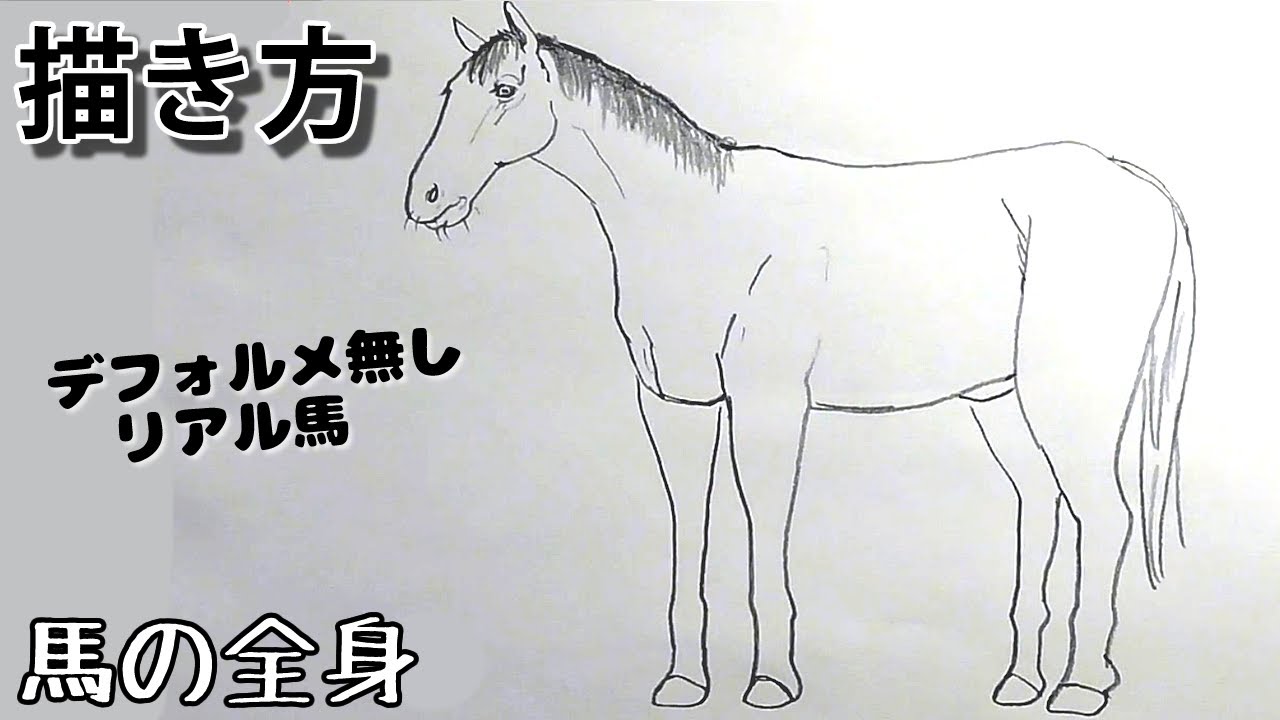 馬の描き方 How To Draw A Horse 簡単 ３分で描く馬 Youtube