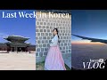 last week in korea 🇰🇷 final goodbyes, what&#39;s next? | KOREA VLOG [ENG/한글]