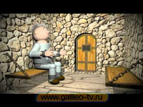 Галилео. Рубашка.