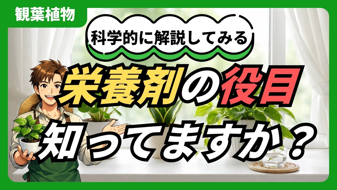【衝撃】栄養剤に書いてある数字は何？植物を劇的に変える「黄金ルール」 #観葉植物 #肥料 #活力剤 #園芸 #育て方
