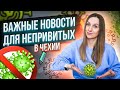 Важные новости для непривитых в Чехии